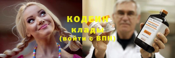 дживик Надым