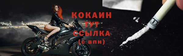 дживик Надым