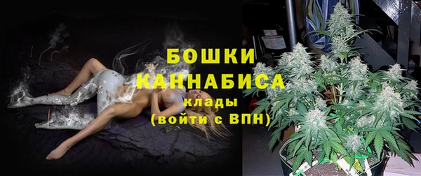 дживик Надым