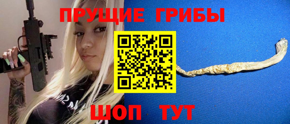 Галлюциногенные грибы Cubensis Мирный