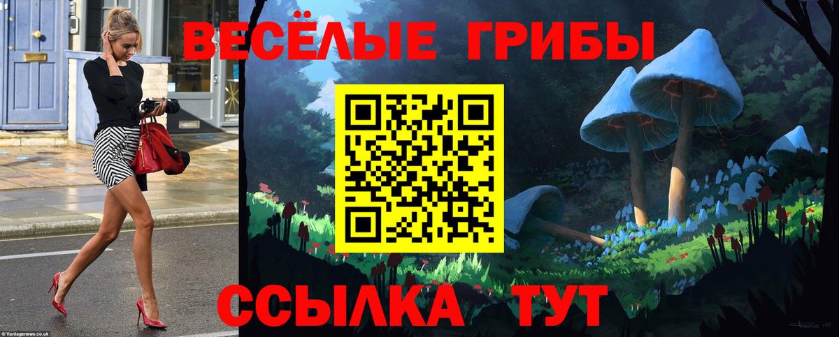 Псилоцибиновые грибы прущие грибы  где можно купить наркотик  Мирный 