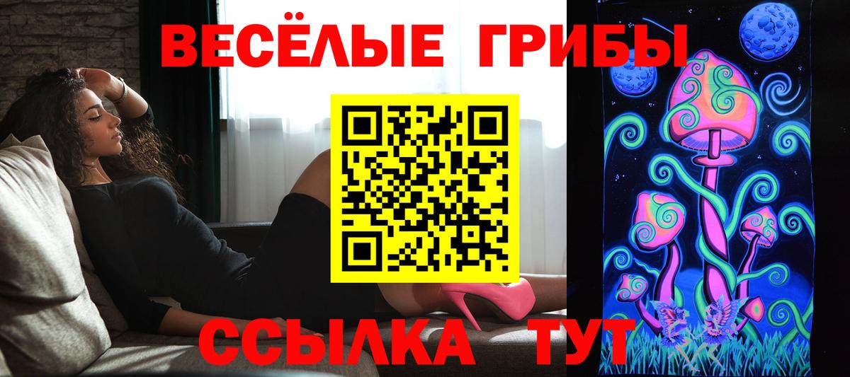 Галлюциногенные грибы Psilocybe  Вход с VPN  Мирный 