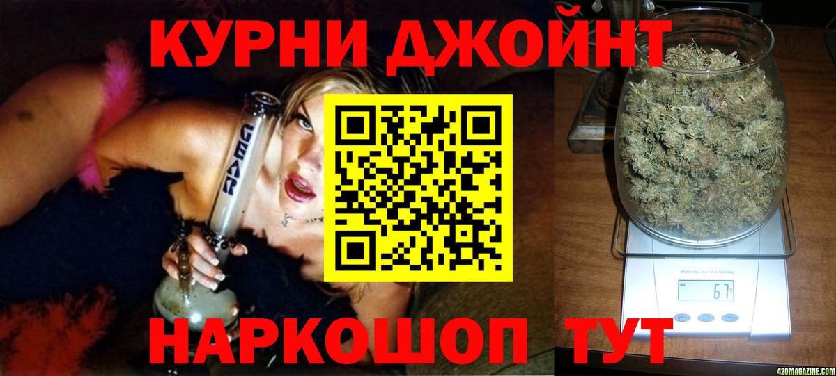 Бошки Шишки планчик Мирный